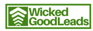 How Lead Prosper Helped Wicked Good Leads Pivot And Prosper - Case Study